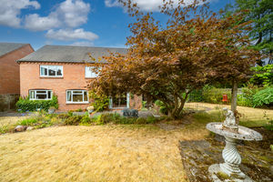 REAR GARDEN- click for photo gallery